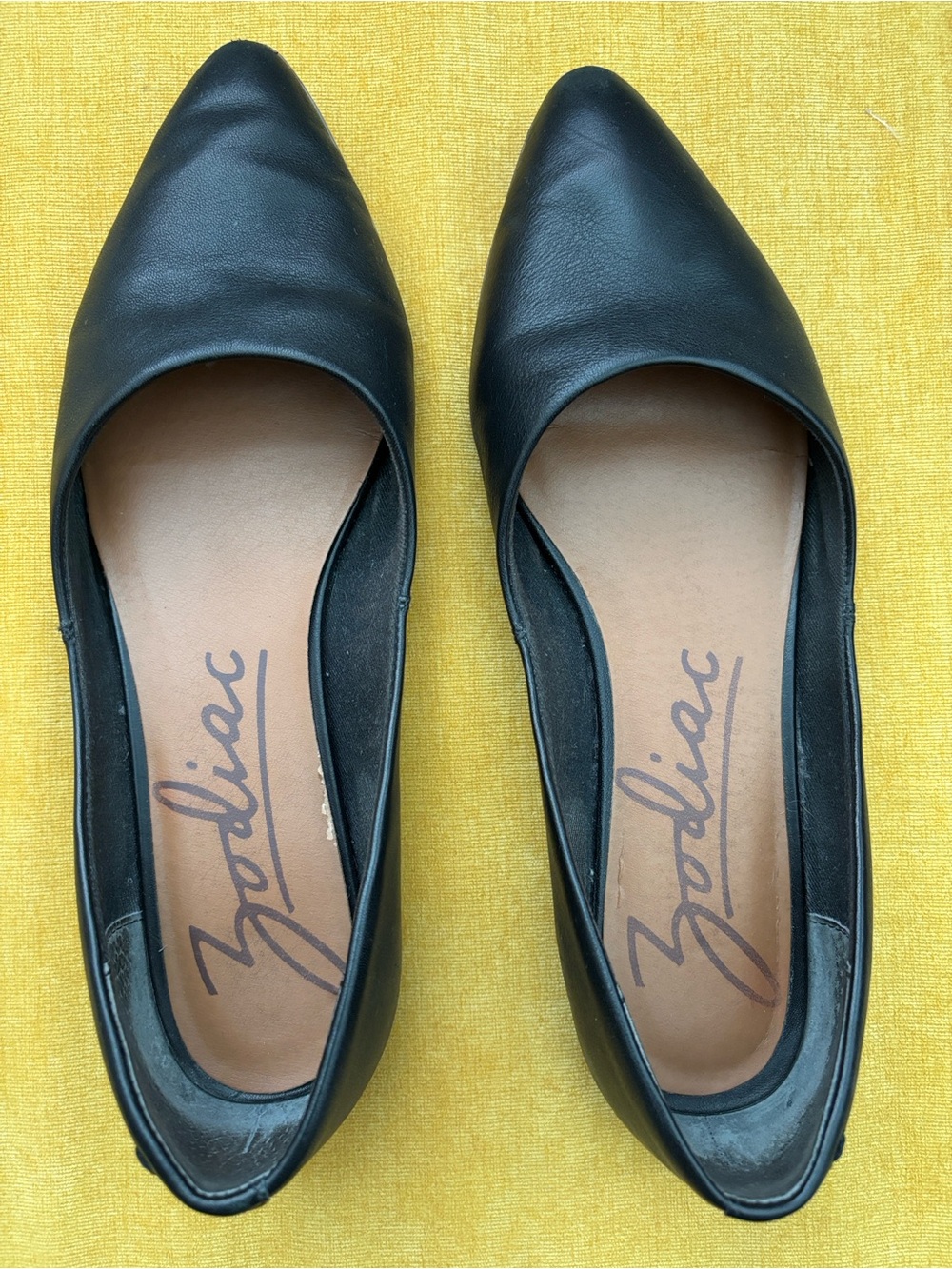Zodiac Black Pointed Ballet Flats